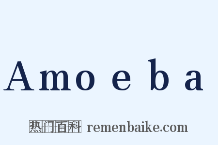 Amoeba是什么意思的图片